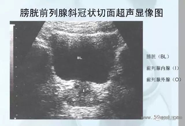 微信圖片_20190221113726